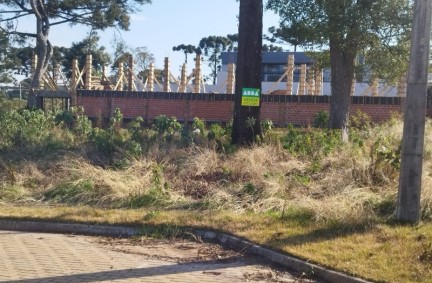 Terreno - Água Santa